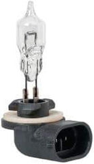 Value Collection - 12 Volt, Halogen Auxiliary Automotive Miniature Lamp - 49.92 Watt, Clear - Apex Tool & Supply