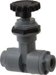 Specialty Mfr - 1/8" Pipe, Inline Needle Valve - PTFE Seal, FNPT x FNPT Ends, PVC Valve, 125 Max psi - Apex Tool & Supply