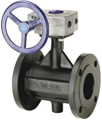 NIBCO - 2-1/2" Pipe, Flanged Butterfly Valve - Bare Stem Handle, Ductile Iron Body, Polyamide Seat, 285 WOG, EPDM Coated Ductile Iron Disc, Stainless Steel Stem - Apex Tool & Supply
