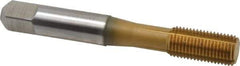 Accupro - 3/8-24 UNF H5 Thread Limit Bottoming Thread Forming Tap - Powdered Metal High Speed Steel, TiN Finish, 2-15/16" OAL - Apex Tool & Supply