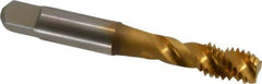 Accupro - 3/8-16 UNC 3 Flute 3B Modified Bottoming Spiral Flute Tap - Powdered Metal, TiN Finish, 2-15/16" OAL, Right Hand Flute, Right Hand Thread, H3 - Exact Industrial Supply