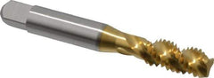 Accupro - 3/8-16 UNC 3 Flute 2B Modified Bottoming Spiral Flute Tap - Powdered Metal, TiN Finish, 2-15/16" OAL, Right Hand Flute, Right Hand Thread, H5 - Apex Tool & Supply