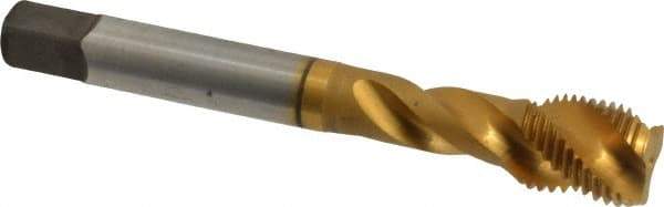 Accupro - 1/2-20 UNF 3 Flute 3B Modified Bottoming Spiral Flute Tap - Powdered Metal, TiN Finish, 3-3/8" OAL, Right Hand Flute, Right Hand Thread, H3 - Apex Tool & Supply