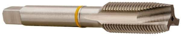 Accupro - 1/4-20, 2 Flute, Bright Finish, Vanadium High Speed Steel Spiral Point Tap - Plug Chamfer, Right Hand Thread, 2-1/2" OAL, 19mm Thread Length, 6.477mm Shank Diam, 2B Class of Fit - Exact Industrial Supply