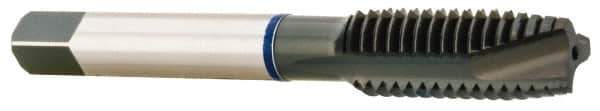 Accupro - 1/4-20, 3 Flute, Oxide Finish, Vanadium High Speed Steel Spiral Point Tap - Plug Chamfer, Right Hand Thread, 2-1/2" OAL, 19mm Thread Length, 6.477mm Shank Diam, 2B Class of Fit - Exact Industrial Supply
