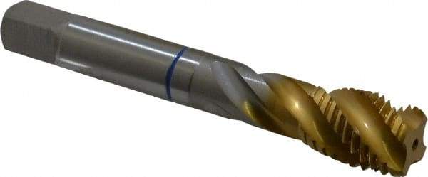 Guhring - M16x2.00 Metric Coarse 4 Flute 6H Modified Bottoming Spiral Flute Tap - Powdered Metal, TiN Finish, 3-13/16" OAL, Right Hand Flute, Right Hand Thread, Series 3909 - Apex Tool & Supply