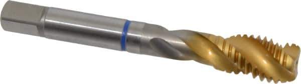 Guhring - 1/2-13 UNC 3 Flute 2B Modified Bottoming Spiral Flute Tap - Powdered Metal, TiN Finish, 3-3/8" OAL, Right Hand Flute, Right Hand Thread, Series 3910 - Apex Tool & Supply