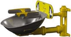 Bradley - Wall Mount, Stainless Steel Bowl, Eye & Face Wash Station - 1/2" Inlet, 30 psi Flow, 3 GPM Flow Rate - Apex Tool & Supply