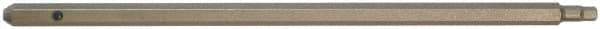 Paramount - 1/8" Hex Screwdriver Blade - 5mm Drive, 5-1/2" OAL - Apex Tool & Supply