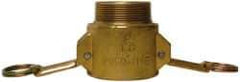 EVER-TITE Coupling Products - 2-1/2" Brass Cam & Groove Suction & Discharge Hose Female Coupler Male NPT Thread - Part B, 2-1/2" Thread, 250 Max psi - Apex Tool & Supply