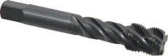 OSG - 5/8-18 UNF 4 Flute 3B Modified Bottoming Spiral Flute Tap - Vanadium High Speed Steel, Oxide Finish, 3-13/16" OAL, Right Hand Flute, Right Hand Thread, H3, Series 290 - Apex Tool & Supply