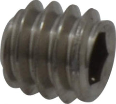Value Collection - 1/4-20 UNC, 1/4" OAL, Flat Point Set Screw - Grade Austenitic A2 Stainless Steel, 1/8" Key - Apex Tool & Supply