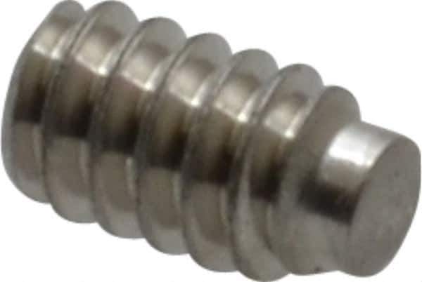 Value Collection - #4-40 UNC, 3/16" OAL, Half Dog Point Set Screw - Grade Austenitic A2 Stainless Steel, 0.05" Key - Apex Tool & Supply