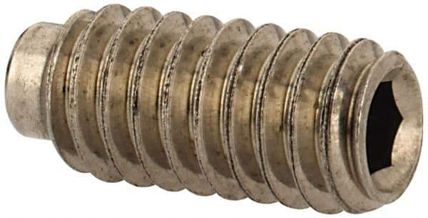 Value Collection - #8-32 UNC, 3/8" OAL, Half Dog Point Set Screw - Grade Austenitic A2 Stainless Steel, 5/64" Key - Apex Tool & Supply