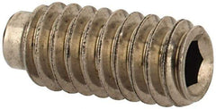 Value Collection - #8-32 UNC, 3/8" OAL, Half Dog Point Set Screw - Grade Austenitic A2 Stainless Steel, 5/64" Key - Apex Tool & Supply