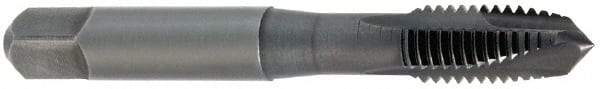 Cleveland - 3/4-10, 3 Flute, Oxide Finish, High Speed Steel Spiral Point Tap - Plug Chamfer, Right Hand Thread, 2B Class of Fit, Series 1011BO - Exact Industrial Supply