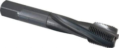 OSG - 3/4-16 UNF 4 Flute 3B Modified Bottoming Spiral Flute Tap - Powdered Metal, Oxide Finish, 4-1/4" OAL, Right Hand Flute, Right Hand Thread, H3, Series 313 - Apex Tool & Supply