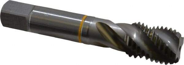Guhring - 1-8 UNC 4 Flute 2B Modified Bottoming Spiral Flute Tap - Cobalt, Bright Finish, 5-1/8" OAL, Right Hand Flute, Right Hand Thread, Series 3904 - Apex Tool & Supply