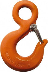 CM - Chain Grade 100, 2,700 Lbs. Load Limit Eye Rigging Hook with Latch - 0.93 Inch Hook Throat, 3.13 Inch Reach, 3/4 Inch Eye Inside Diameter, 0.21875 Inch Chain Diameter, 4.37 Inch Overall Length, 0.38 Inch Eye Thickness - Apex Tool & Supply