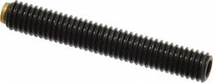 J.W. Winco - M6x1.00 Metric Coarse, 40mm Length of Thread, Soft Tip Point Set Screw - Grade 5.8 Steel, 3mm Key - Apex Tool & Supply