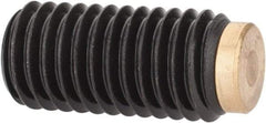 J.W. Winco - M10x1.50 Metric Coarse, 20mm Length of Thread, Soft Tip Point Set Screw - Grade 5.8 Steel, 5mm Key - Apex Tool & Supply