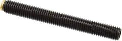 J.W. Winco - M12x1.75 Metric Coarse, 100mm Length of Thread, Soft Tip Point Set Screw - Grade 5.8 Steel, 6mm Key - Apex Tool & Supply