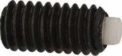 J.W. Winco - M4x0.70 Metric Coarse, 8mm Length of Thread, Soft Tip Point Set Screw - Grade 5.8 Steel, 2mm Key - Apex Tool & Supply