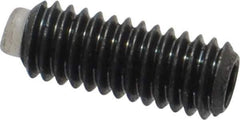 J.W. Winco - M4x0.70 Metric Coarse, 10mm Length of Thread, Soft Tip Point Set Screw - Grade 5.8 Steel, 2mm Key - Apex Tool & Supply
