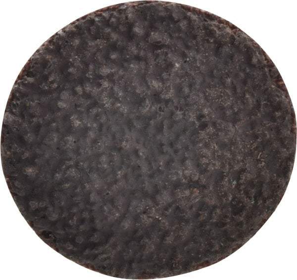 Tru-Maxx - 1" Disc Diam, 36 Grit, Aluminum Oxide Quick Change Disc - Type R Attaching System, Coated, Brown, Very Coarse Grade, 30,000 RPM - Apex Tool & Supply