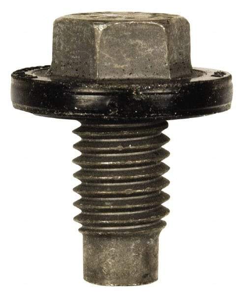 Dorman - Pilot Point Oil Drain Plug - M12x1.75 Thread, Molded Gasket - Apex Tool & Supply
