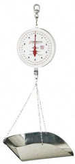 Detecto - 40 Lb. Capacity, 8 Inch Dial Hanging Scale with Galvanized Scoop - 20 Lbs. Graduation, 2 Revolutions - Apex Tool & Supply