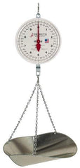 Detecto - 20 Lb. Capacity, 8 Inch Dial Hanging Scale with Galvanized Scoop - 10 Lbs. Graduation, 2 Revolutions - Apex Tool & Supply