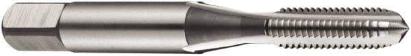 DORMER - #6-40 UNF, 3 Flute, Bottoming & Plug, Bright Finish, High Speed Steel Tap Set - Right Hand Cut, 45mm OAL, 2B Class of Fit, Series E111 - Apex Tool & Supply