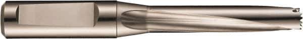 DORMER - 18.6 to 19.5mm Diam, 5xD, 25mm Shank Diam, 108.5mm Flute, 191.5mm OAL, Replaceable Tip Drill - H855 Toolholder, Series H855 - Apex Tool & Supply