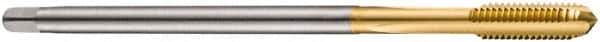 DORMER - M16x2.00 Metric Coarse 6H 4 Flute TiN Finish Cobalt Straight Flute Machine Tap - Bottoming, Right Hand Thread, 137mm OAL, 25mm Thread Length, Oversize - Apex Tool & Supply