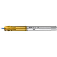 ‎M 5-6HX IF1-H-SN-IKZ-TIN-T26 - Exact Industrial Supply