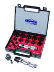 16 Piece Hollow Punch Set (SAE) - Apex Tool & Supply