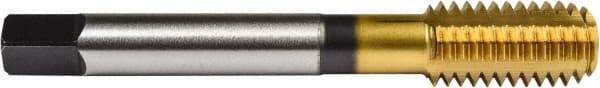 Union Butterfield - 5/16-18 UNC 2B/3B H7 Thread Limit Bottoming Thread Forming Tap - Powdered Metal High Speed Steel, TiN Finish, 2-23/32" OAL, 11/16" Thread Length, Right Hand Thread, Series 1641 - Apex Tool & Supply