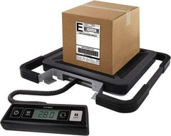 Dymo - 15" Base, 100 Lb Capacity, Digital Scale - 0.2 Lb Graduation, USB, 120 Volt Adapter or (3) AAA Batteries - Apex Tool & Supply