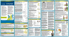 ComplyRight - 18" Wide x 24" High General Information Poster - United States of America Jurisdiction, English - Apex Tool & Supply