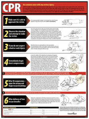 ComplyRight - Regulatory Compliance General Safety & Accident Prevention Training Kit - English, 18" Wide x 24" High - Apex Tool & Supply