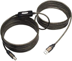 Tripp-Lite - 25' Long, USB A/B Computer Cable - Beige, Male x Male - Apex Tool & Supply