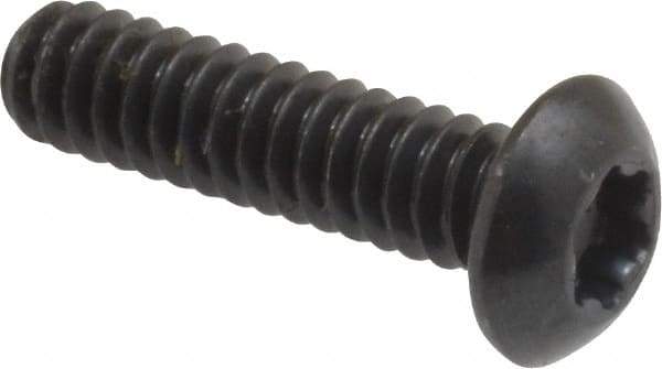 Camcar - #10-24 UNC Torx Plus Drive, Button Screw - Alloy Steel, Black Oxide Finish, Fully Threaded, 3/4" Length Under Head - Apex Tool & Supply