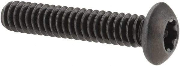 Camcar - #10-24 UNC Torx Plus Drive, Button Screw - Alloy Steel, Black Oxide Finish, Fully Threaded, 1" Length Under Head - Apex Tool & Supply
