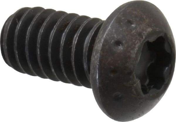 Camcar - 1/4-20 UNC Torx Plus Drive, Button Screw - Alloy Steel, Black Oxide Finish, Fully Threaded, 1/2" Length Under Head - Apex Tool & Supply