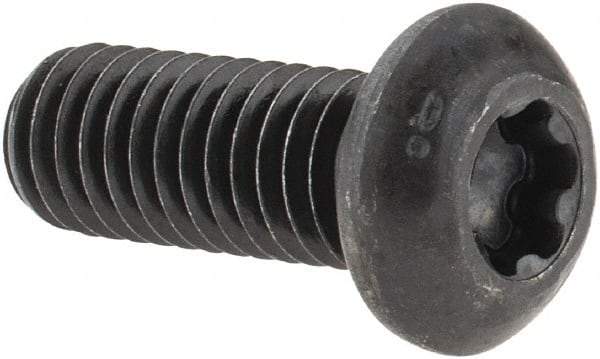 Camcar - 3/8-16 UNC Torx Plus Drive, Button Screw - Alloy Steel, Black Oxide Finish, Fully Threaded, 1" Length Under Head - Apex Tool & Supply