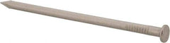Made in USA - 16D, 8 Gauge, 3-1/2" OAL Common Nails - Smooth Shank, T304 Stainless Steel - Apex Tool & Supply