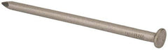 Made in USA - 20D, 6 Gauge, 4" OAL Common Nails - Smooth Shank, T304 Stainless Steel - Apex Tool & Supply