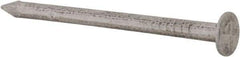 Made in USA - 3D, 14 Gauge, 1-1/4" OAL Common Nails - Smooth Shank, Aluminum - Apex Tool & Supply