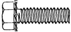 Value Collection - #10-24 UNC, 3/8" Length Under Head Hex Drive Machine Screw - Hex Head, Grade J82 Steel, Zinc-Plated Finish, External Tooth - Apex Tool & Supply